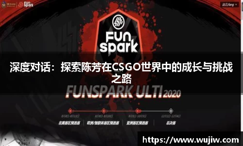 深度对话：探索陈芳在CSGO世界中的成长与挑战之路