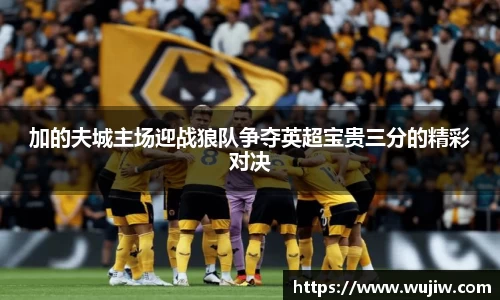 加的夫城主场迎战狼队争夺英超宝贵三分的精彩对决